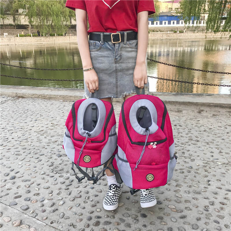 Paws Aboard™ Premium Dog Carrier